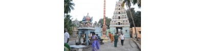 215. திருநெல்வாயில் அரத்துறை